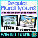 Regular Plural Nouns for Speech Therapy | Winter Theme | B