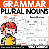 Regular and Irregular Plural Nouns Activities and Workshee