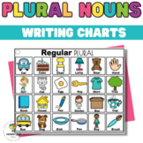 Regular and Irregular Plural nouns writing charts - Writin