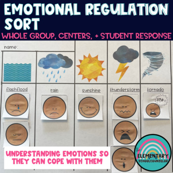 Preview of Regulating Emotions in the Classroom