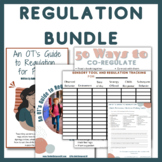 Regulation Bundle: How to Promote Self-Regulation for Your