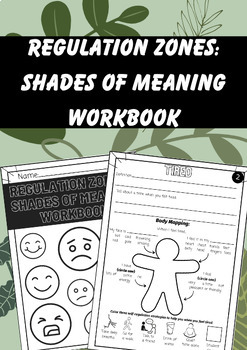 Preview of Regulation Zones: Shades of Meaning Workbook
