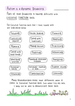 Preview of Regulation and Executive Function Handout (7-page coloured document)