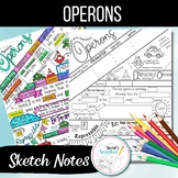 Regulation of Gene Expression/ Operon Sketch Notes/ Doodle Notes