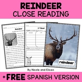Reindeer Close Reading Comprehension Passage Activities + 