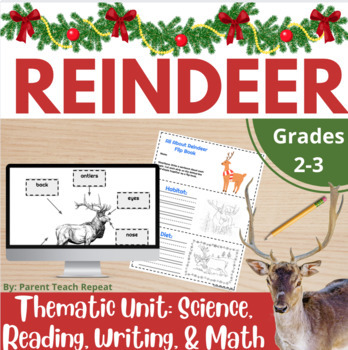 Preview of Reindeer Activities | Math Science Reading Writing | Christmas Holiday | Booklet
