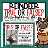 Reindeer Activity True or False Nonfiction Interactive Goo