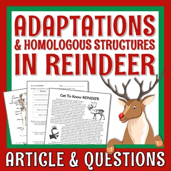 Preview of Christmas Science Activity Reindeer Adaptations Homologous Structures