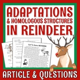 Christmas Science Activity Reindeer Adaptations Homologous