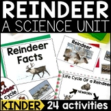 Reindeer Science Lessons and Activities for Kindergarten