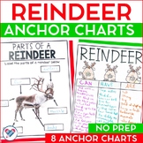 Reindeer Anchor Charts