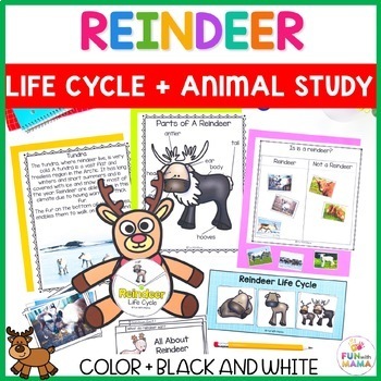 Preview of Reindeer Caribou Animal Fact Activity Packet - Life Cycle Mini Book Printables