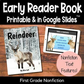 Preview of Reindeer & Caribou - Arctic Animals - First Grade Informational Text