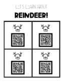 Reindeer/Caribou QR Codes