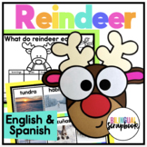 Reindeer Craft and Activities in English and Spanish | Manualidad de Reno
