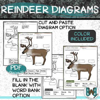 Reindeer Diagram Poster And Student Pages By Backwoods Barn Sketch
