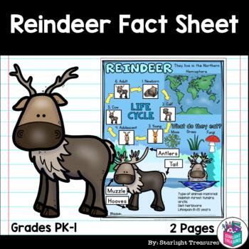Preview of Reindeer Fact Sheets for Early Readers - Animal Study