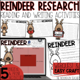 Reindeer Facts Webquest | Reading Comprehension Activities
