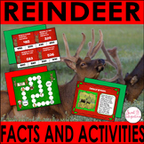 Reindeer Informational Text and Reindeer Activities - Math