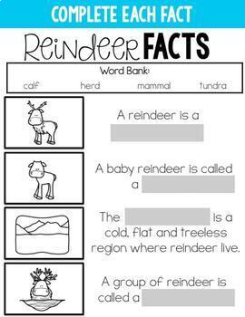 Reindeer Facts and Habitat [Distance Learning version for Google Classroom]