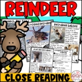 Reindeer First Grade | Reindeer Reading Passages