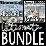 Reindeer Informational Article and Arctic Animal Research BUNDLE