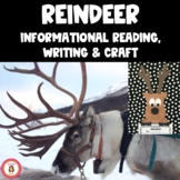 Reindeer Informational Reading, Writing and Craft