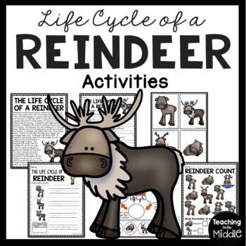 Reindeer Life Cycle Activities and Worksheets Winter Animals Christmas