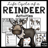 Reindeer Life Cycle Activities and Worksheets Winter Anima