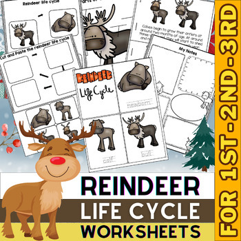 Preview of Reindeer Life Cycle | Winter Activities and Worksheets | Winter Animals Science