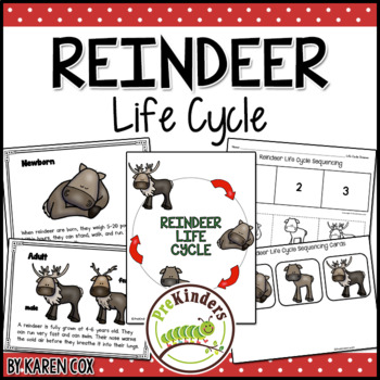 Preview of Reindeer Life Cycle | Winter Science | Preschool Pre-K