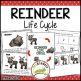 Reindeer Life Cycle | Winter Science | Preschool Pre-K