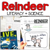Reindeer Literacy and Non-Fiction Bundle