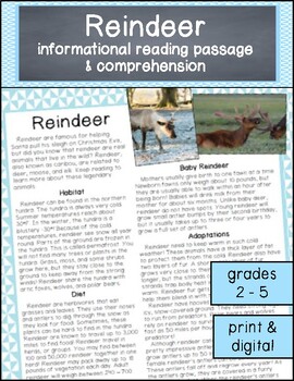 Preview of Reading Comprehension Christmas - Reindeer