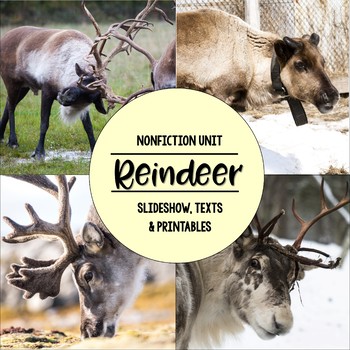 Preview of Reindeer Nonfiction Close Reading & Visual Vocabulary Unit