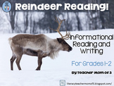 Reindeer Nonfiction Informational Reading Literacy Unit