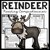 Reindeer Overview Informational Text Reading Comprehension