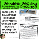 Reindeer Reading Passage- Printable and Digital