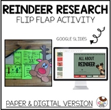 Reindeer Research | No prep Activity & Craft | Digital Reindeer