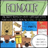 Reindeer Science