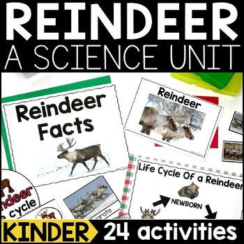 Preview of Reindeer Science | All About Reindeer Activities | Winter Science Activities K