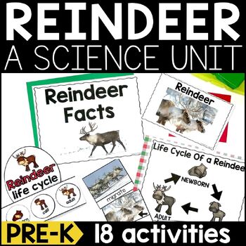 All About Reindeer | Reindeer Science Lessons & Activities for Pre-K