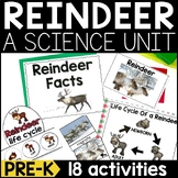 All About Reindeer | Reindeer Science Lessons & Activities