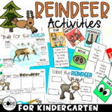 Reindeer Themed Kindergarten Activities | Christmas Activities