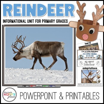 Preview of Reindeer Unit – All About Reindeer PowerPoint – Reindeer Craft & Activities
