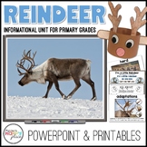Reindeer Unit with PowerPoint and Printables