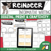 Reindeer Informative Writing with Craftivity  Digital and Print