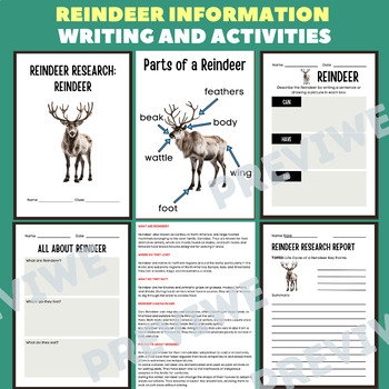 Preview of Reindeer Writing and Labeling- Animal Information Report Activities