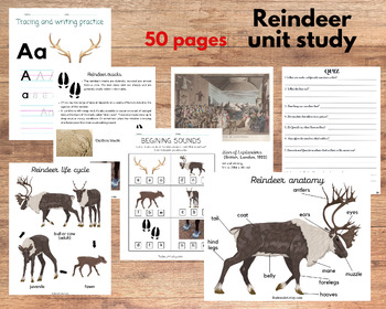 Preview of Reindeer unit study, Reindeer anatomy, Caribou life cycle, Art, Poetry study