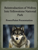 Reintroduction of Gray Wolves Into Yellowstone National Park